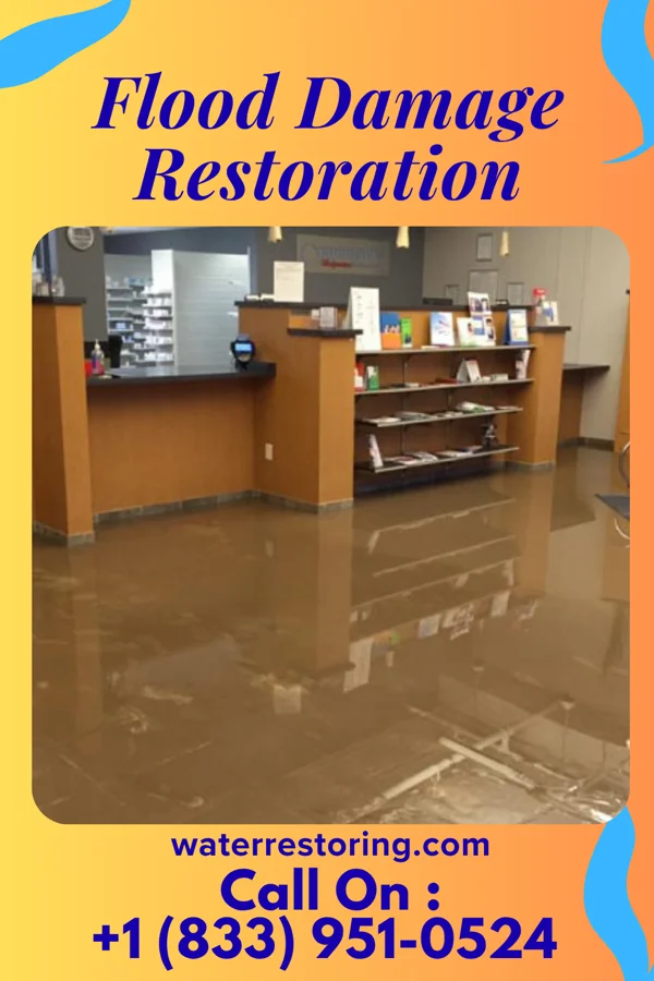 Flood Damage Restoration in Edgemont Park, MI