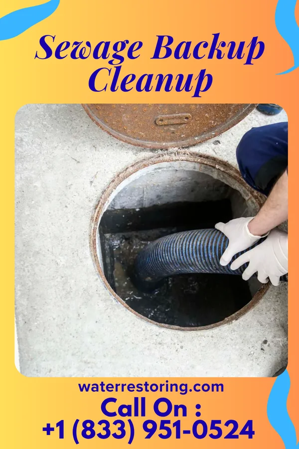 Sewage Backup Cleanup in Edgemont Park, MI